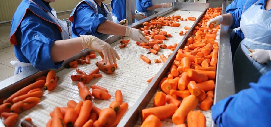 Production line operatives on an industrial packaging floor